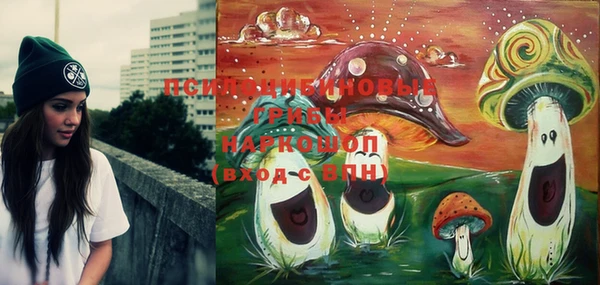 крисы Абдулино