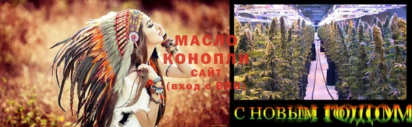 крисы Абдулино