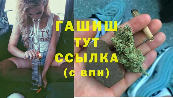 стаф Абаза