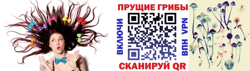 продажа наркотиков  Воронеж  Галлюциногенные грибы Magic Shrooms 